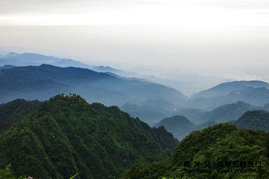 峨眉山  ©  董文晓/华夏荒野旅行