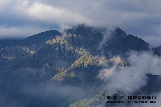 Wolong NNR 