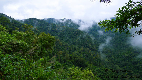 Yingjiang © Menxiu Tong / China Wild Tour