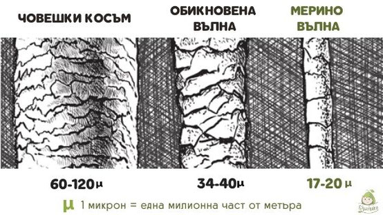 Мериносова вълна