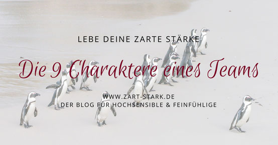 Foto von Pinguinen