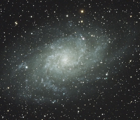 さんかく座　M33銀河（NGC 598）