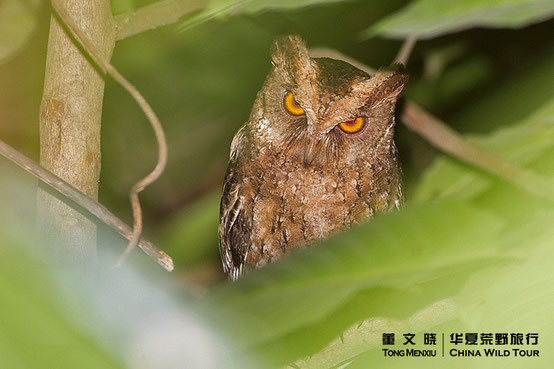 ©董文晓/华夏荒野旅行