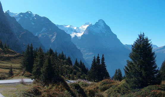 Wanderreise ohne Gepäck im Welterbe Jungfrau-Aletsch: Grosse Scheidegg