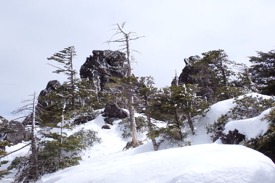 北八ヶ岳　雪山　縦走　登山　ガイド