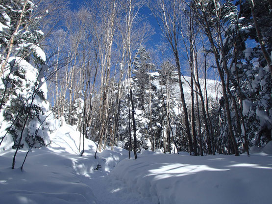 蓼科山　雪山　登山　入門　講習会　ツアー