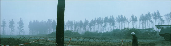 1982