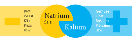 Dr. Matthias Marquardt – Sportinternist, Check-up-Mediziner. Mikronährstoffe: Salztest > Natrium und Kalium