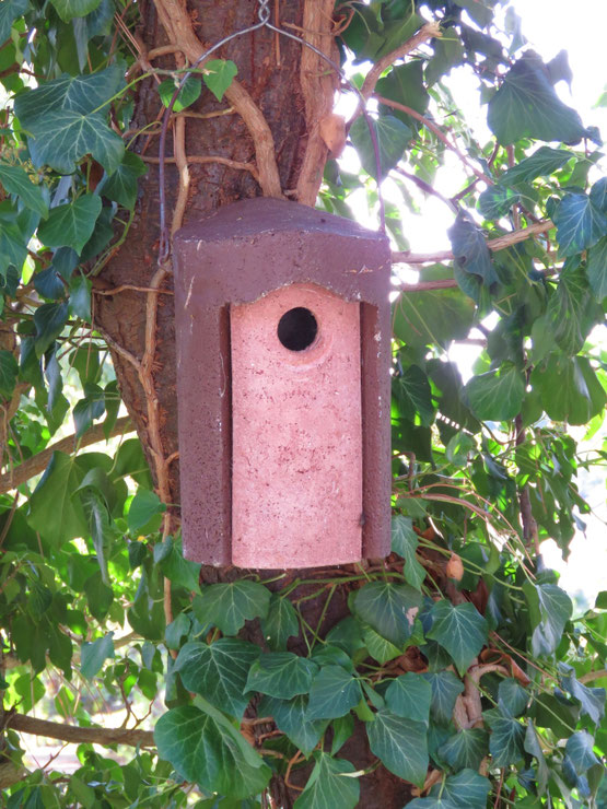 Kalte Winternächte verbringen viele Gartenvögel gerne in geschützten Höhlen, wozu auch die Nistkästen zählen.