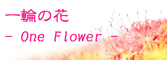 一輪の花（自作詩サイト）