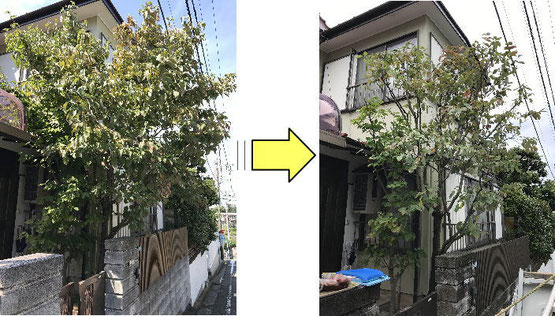 お庭全体のお手入れはもちろん、植木／庭木1本から剪定請負