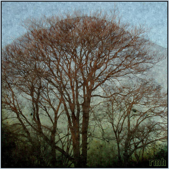 filigree trees