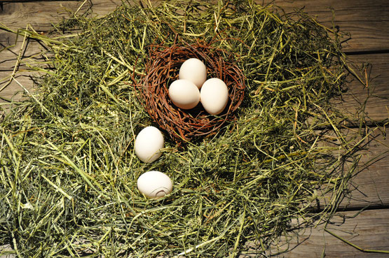 Eier, Eierverpackung, Huhn, Stroh, Eigelb, Hof Herzige, Eiernest