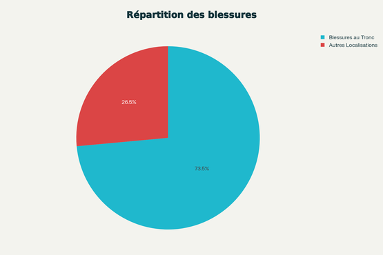 Répartition des victimes dans le registre : Prédominance des blessures au tronc