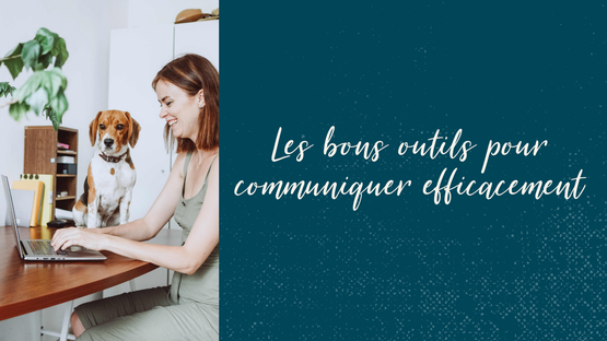 Mailchimp / Conseil Communication TPE, Commerces, Indépendant