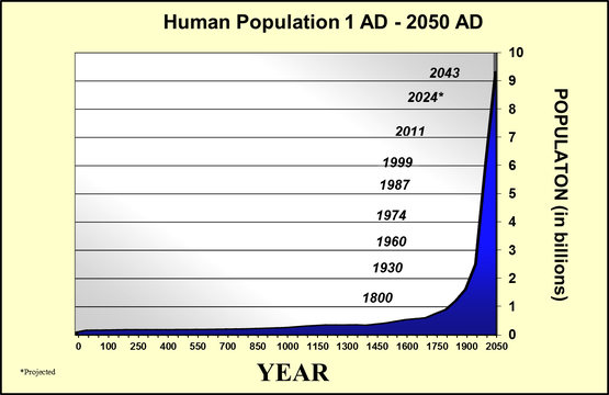 *Projections based on medium fertility estimates. Source: UN World Population Division