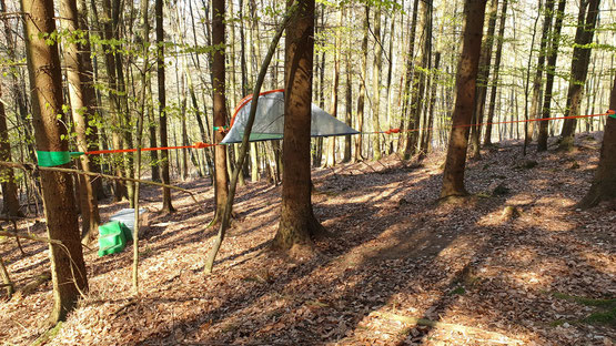 Baumzelt im Wald. Bild: Baumhaushotel Solling