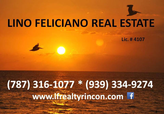 rincon, real estate, property, lina feliciano