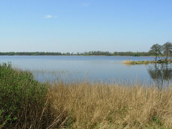 Te huur mooi wellness vakantiehuis voor 10 personen in Friesland met gratis Wifi