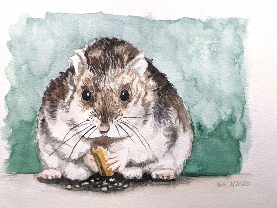 Aquarellstudie "Dschungarischer Zwerghamster": Tier hält einen Leckerbissen in den Pfoten und knuspert daran herum