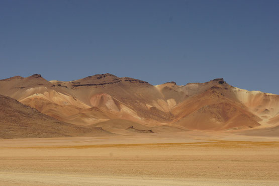 3 Tages Tour über den Salzsee von Uyuni mit BOLIVIENline in die Dalí Wüste