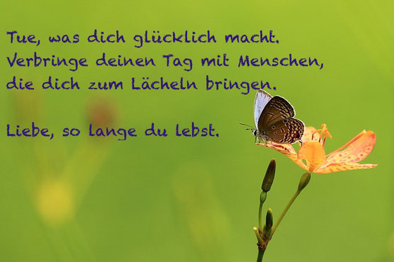 Liebe Sprüche mit Bildern