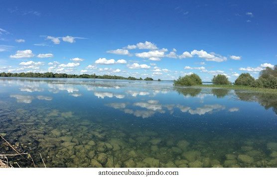 Lac du Der en Champagne le 22 juin 2016