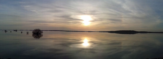 Lac du Der le 07 mars 2015