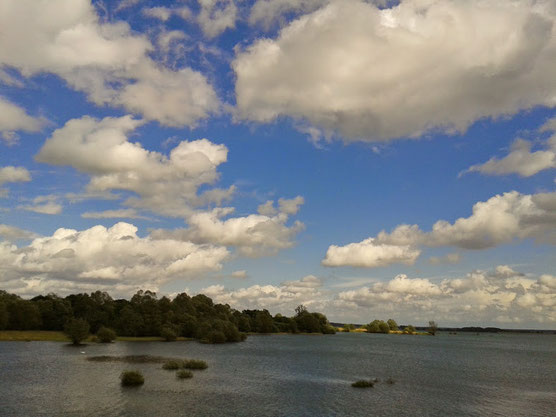 Lac du Der le 07 mai 2014