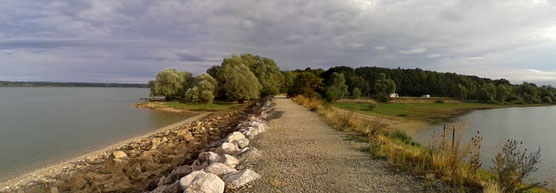 Lac du Der le 27/08/2015