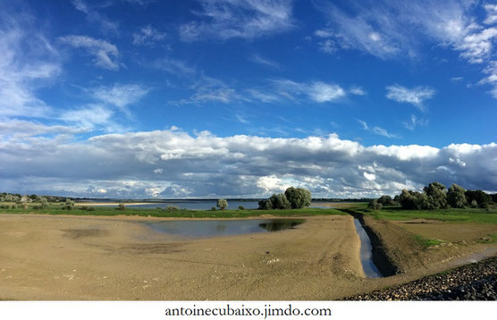 Lac du Der en Champagne le 01 octobre 2016