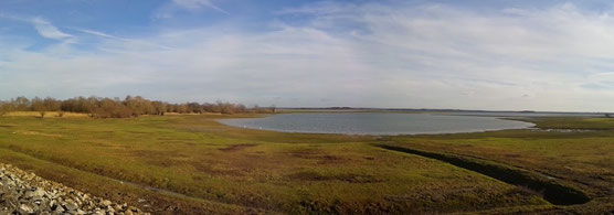 Lac du Der le 18 janvier 2015