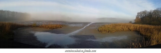 Lac du Der le 05 décembre 2015