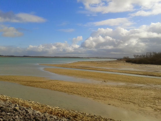 Lac du Der 16 février 2014