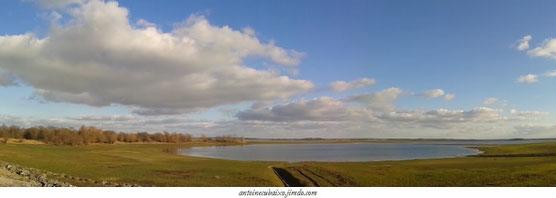 Lac du Der en Champagne le 17 janvier 2016