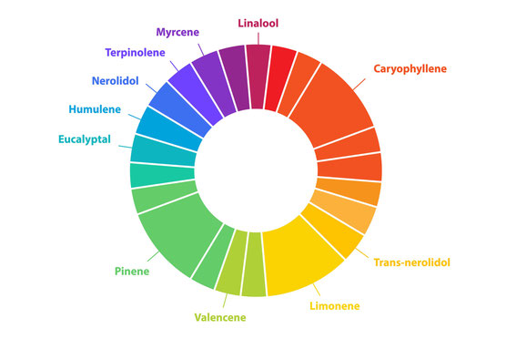 Kuchengrafik des Terpenspektrums in CBD Blüten mit Regenbogenfarben dargestellt von Pinene über Linalool bis Limonene
