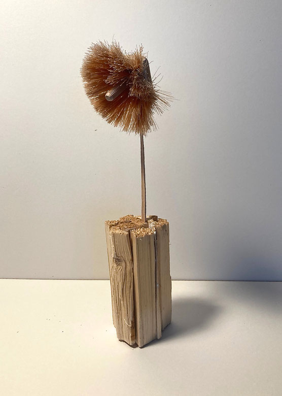 Blume 2024 : Baumarkt - Anbrennholz, Bürste, Holzdübel