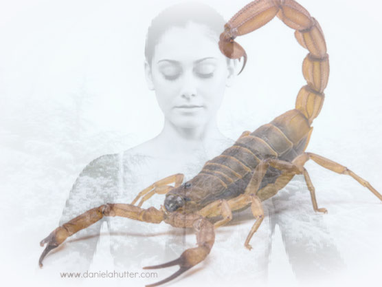 shutterstock_204881938