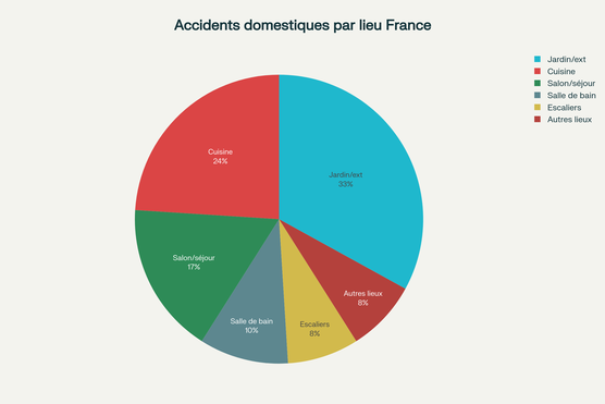 Répartition des accidents domestiques selon le lieu de survenue dans les foyers français