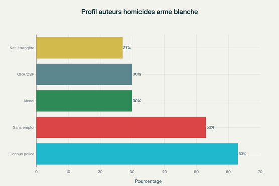 Caractéristiques sociodémographiques des auteurs d'homicides par arme blanche en France