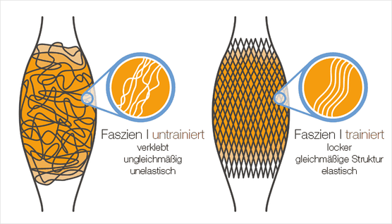 Bildergebnis fÃ¼r faszientraining png