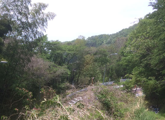 日下山直越の道(筆者撮影)