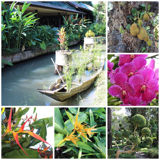 Sai Nam Phung Orchid Farm