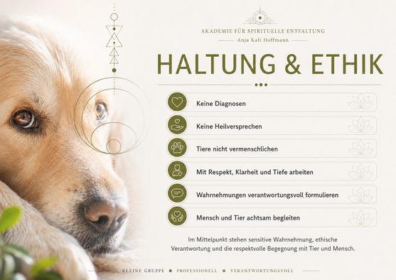 Haltung und Ethik in der Tierkommunikation ohne Diagnosen ohne Heilversprechen und mit verantwortungsvoller Wahrnehmung
