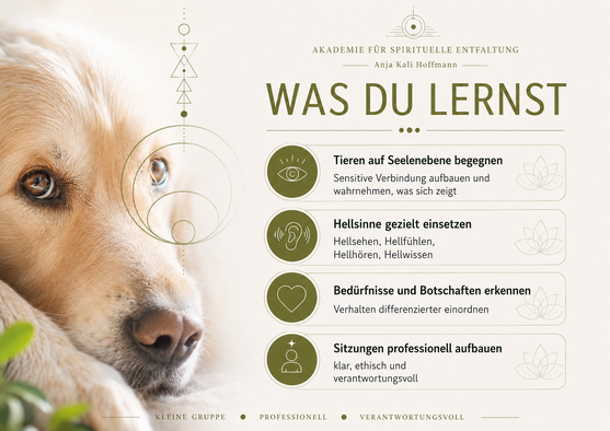 Inhalte der Tierkommunikation Ausbildung Tieren auf Seelenebene begegnen Hellsinne einsetzen und Sitzungen professionell aufbauen