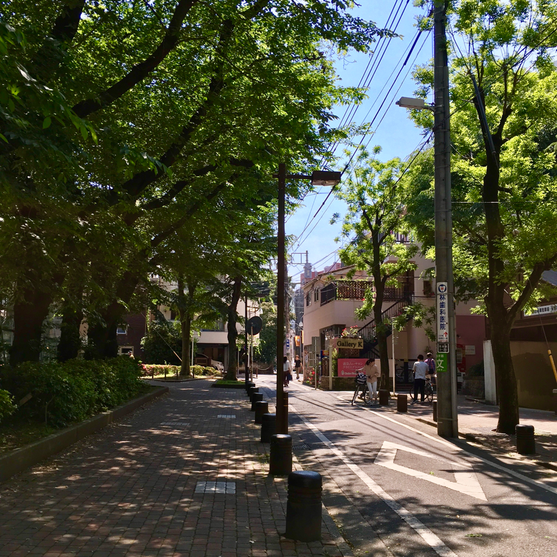 手前右：西池袋公園（池袋西駐輪場が見えてます）、手前左：バスケなどをするコートがあるフェンスのある公園。････池袋駅から「西池袋公園」を目指して「ホテルメトロポリタン」と「東京芸術劇場」の間の道を行き、「西池袋一丁目の交差点」を渡りまっすぐ100m。この写真の場所が見えます！駅から5分ほどなのに緑がこんもりとした閑静な住宅街になるのが不思議。こういう都会のオアシスのような場所が好きです♥