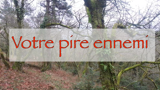 Votre pire ennemi et votre meilleur ennemi; c'est vous!
