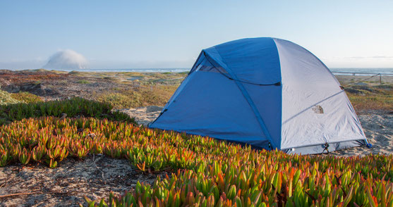 Morro Rock Bay, USA 2009