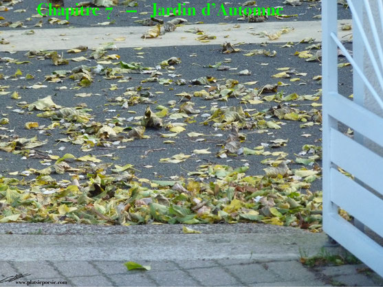 7-Jardin d'Octobre - octobre 2016