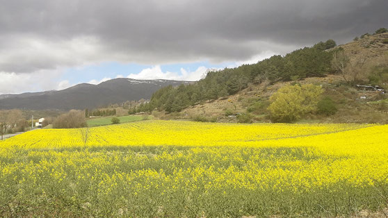 TC296 ruta e-bike mtb Llívia - Cap de Colza